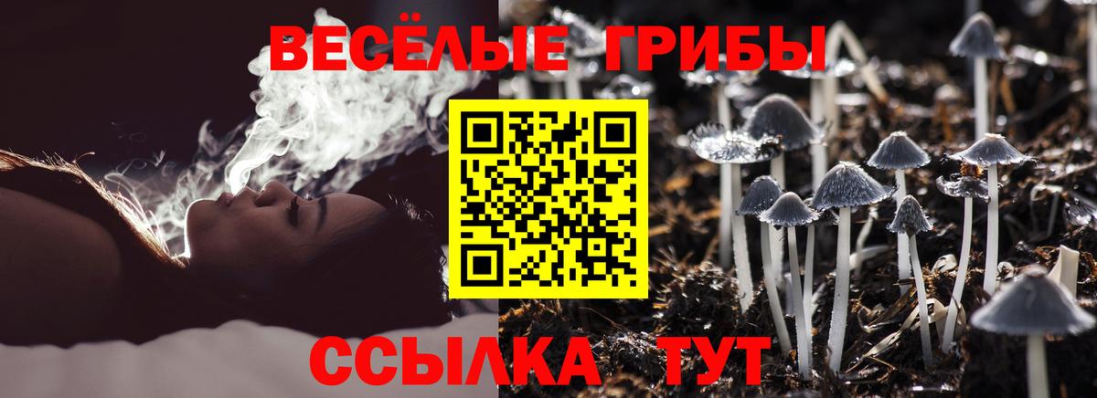 Соль-Илецк  Псилоцибиновые грибы мухоморы  Вход с VPN  Галлюциногенные грибы Psilocybine cubensis 